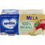 Mellin Homogenized Fruit Apple 2 x 100 g