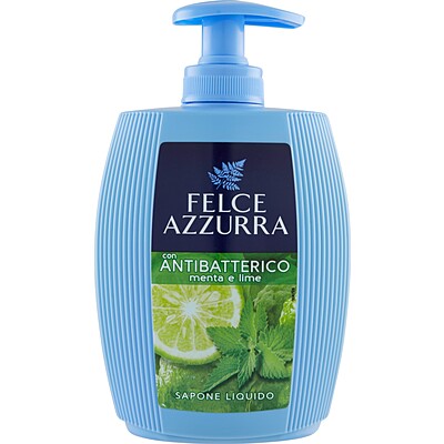 Blue Fern Antibacterial Soap 300ml