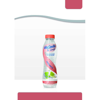 Vitasnella Le Linfe Draining Birch Sap 500 ml