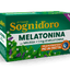 Sognid'oro Tisanes Mélatonine à la Mélisse + 1 Mg de Mélatonine Sachets 16 X 2 G