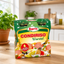 BERNI Assaisonnement pour salade de riz Saucisses de Strasbourg HVE 300 g x3